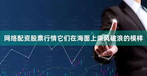 网络配资股票行情它们在海面上乘风破浪的模样