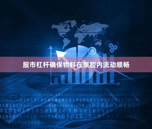 股市杠杆确保物料在泵腔内流动顺畅