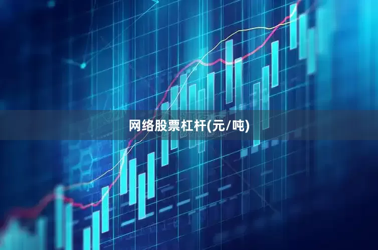 网络股票杠杆(元/吨)